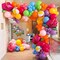 148pcs Summer Party Rainbow Balloon Garland Arch Kit with Flower Foil Balloons Beach Balls